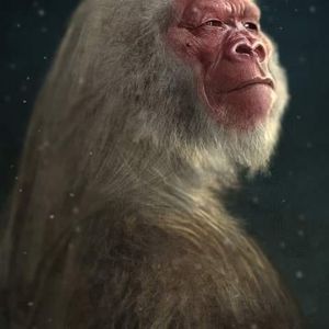 Meet your Posher, Loyd